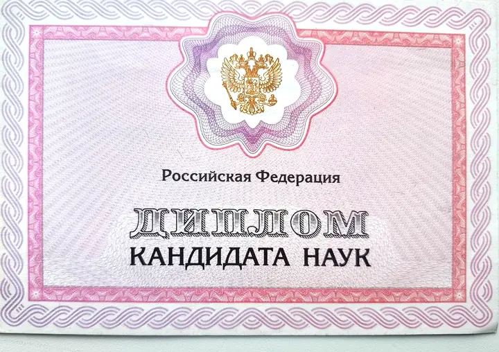 Диплом кандидата наук · обложка — Сергей Чикирев
